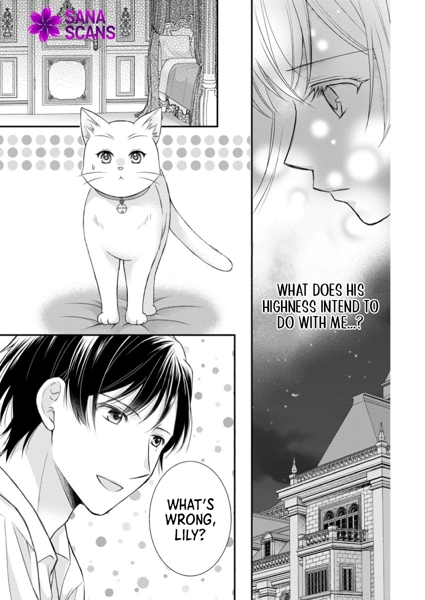 The Villainess Cursed into a Cat Is Taken In by the Crown Prince. Chapter 8 Page 19