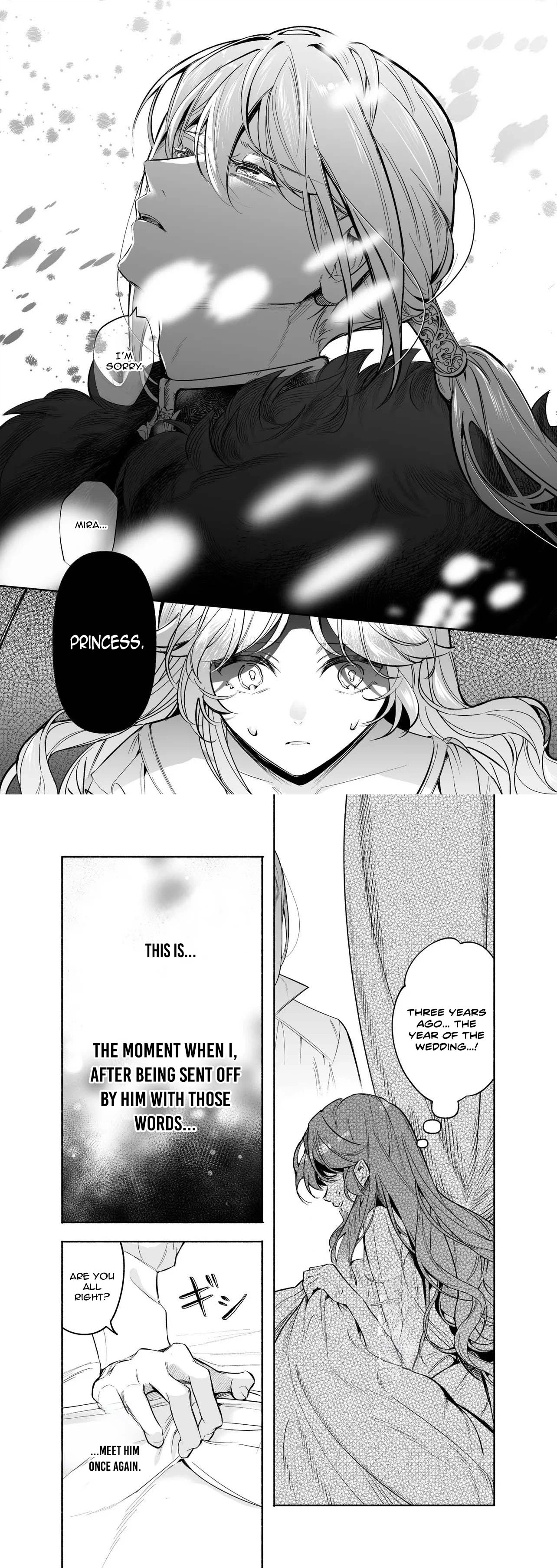 The Neglected Princess Doesn’t Notice Her Husband’s Love Chapter 1 - . Page 28